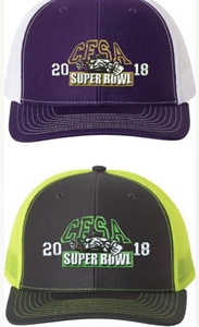 Picture of 2019 Super Bowl Cap