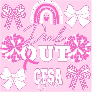 Picture of 2025 CFSA Pink Out Shirt 