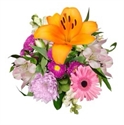 Picture of Flowers Cheer Off